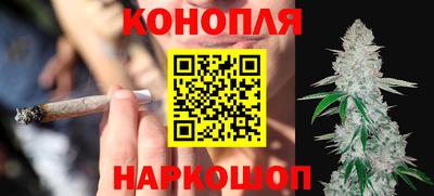 трава Лесосибирск