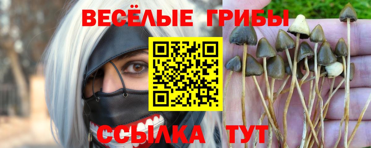 Горячий Ключ  Псилоцибиновые грибы ЛСД  где найти   Вход с VPN 